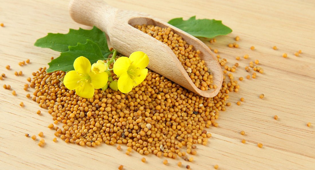 Mustard Seeds